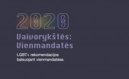 2020. Vaivorykštės vienmandatės: LGBT+ rekomendacijos balsuojant