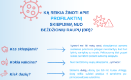 Kovo 1 d. pradedamas profilaktinis skiepijimas nuo beždžionių raupų