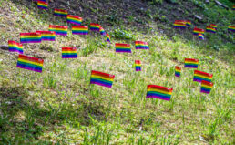 ILGA-Europe smerkia LGBT teisių pažeidimus Lietuvoje