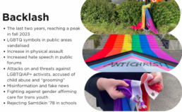 Mokymuose patyčių prevencijos srityje – geroji Islandijos patirtis