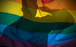 Homoseksualūs šauktiniai Lietuvos kariuomenėje – nepageidaujami?