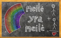 LGBT* Students Speak out about their Experiences in Lithuanian High Schools 1