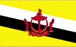 Brunei delays introducing law allowing gays to be stoned to death