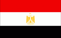‘It Will Pass’: Egypt Set to Enact One of the World’s Most Extreme Anti-LGBTQ Laws