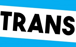 Two Transgender Men Seek Legal Gender Recognition before Lithuanian Courts trans_lt