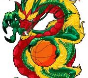 Lithuanian basketball federation “will react” to intolerance download