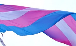 LGL Takes Part in a Working Group on Legal Gender Recognition kgm-historic-trans-flag-raising-from-facebook
