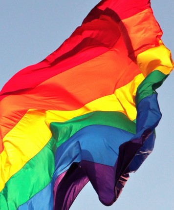 vaivorykstes veliava